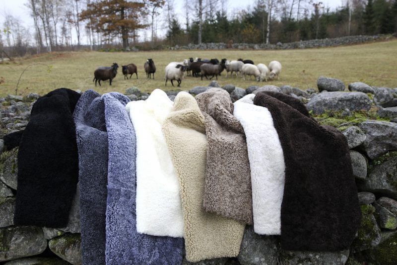 選べる羊毛の種類と色