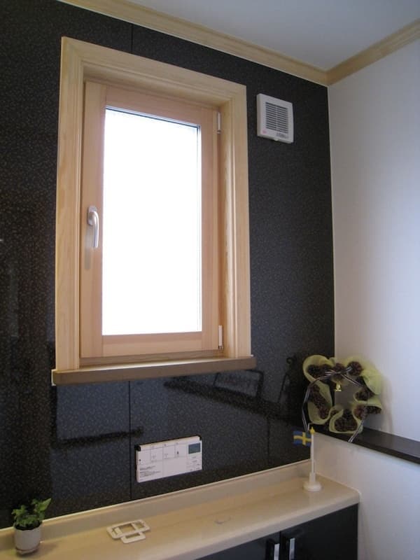 型ガラスでブラインドなし