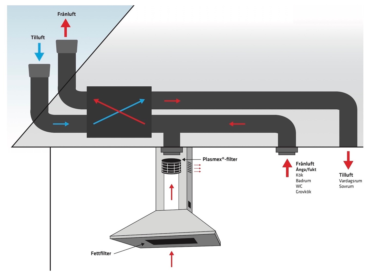 高性能フィルター「Plasmex」で排気をリターン